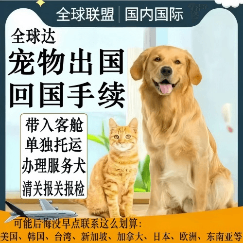 和田宠物托运到柬埔寨宠物入境规定和要求