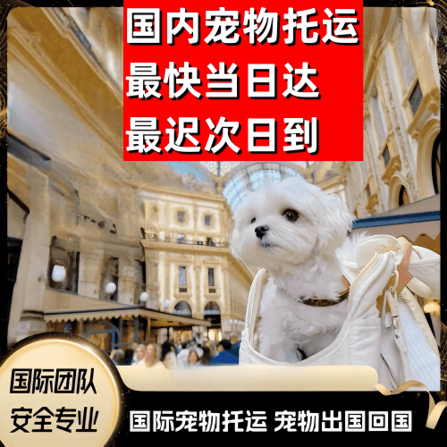 和田到澳大利亚（澳洲）宠物入境规定和要求