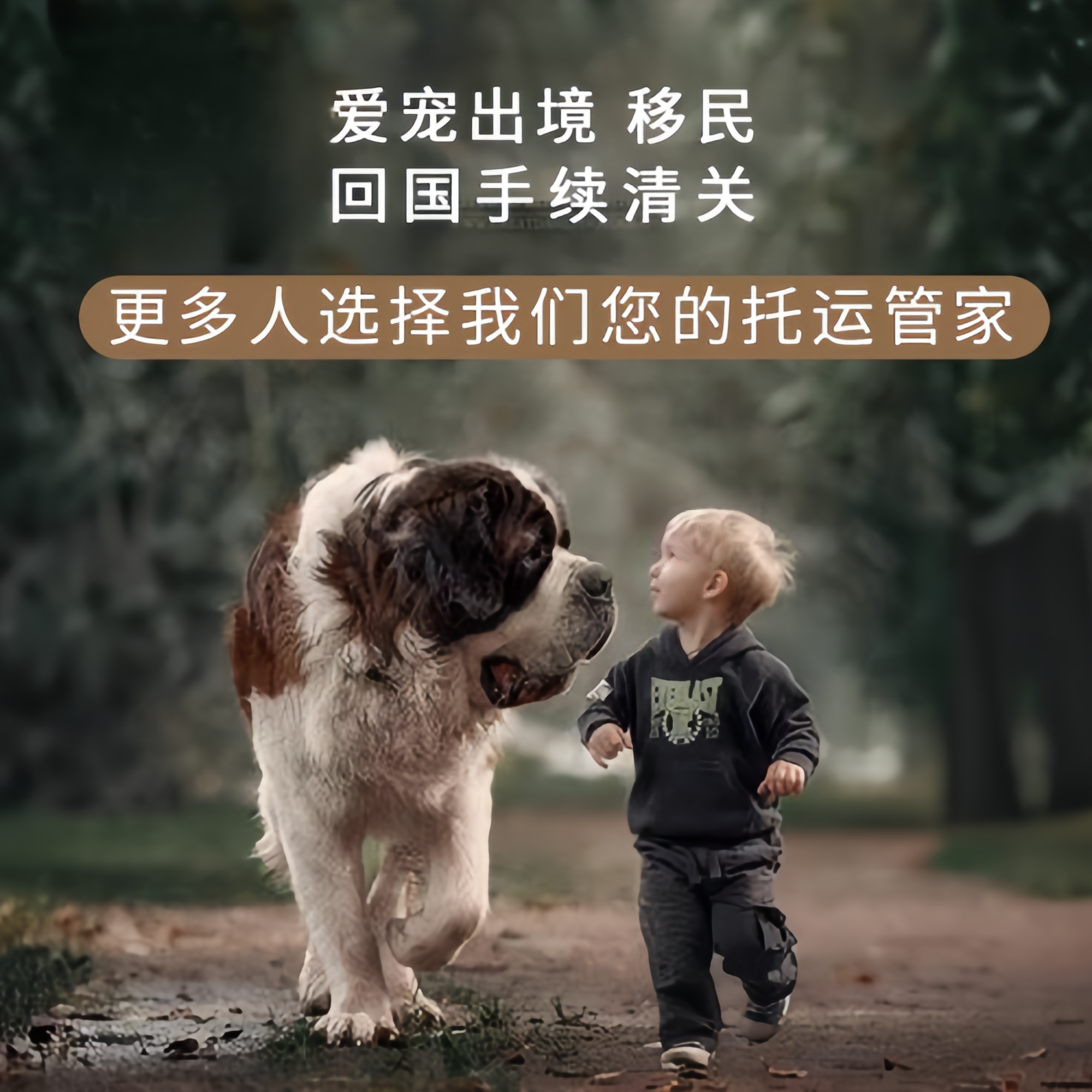 满财和田宠物全球达宠物托运在遵守入境目的地政策的条件
