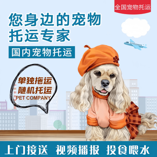 满财和田宠物全球达宠物托运作为专业的宠物运输代理机构